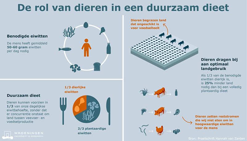 Rantsoenoptimalisatie, Onafhankelijk veevoedings- en bemestingsadvies. Veevoedingsadviesbureau Nijhof. Kringlooplandbouw, Kruidenrijk grasland